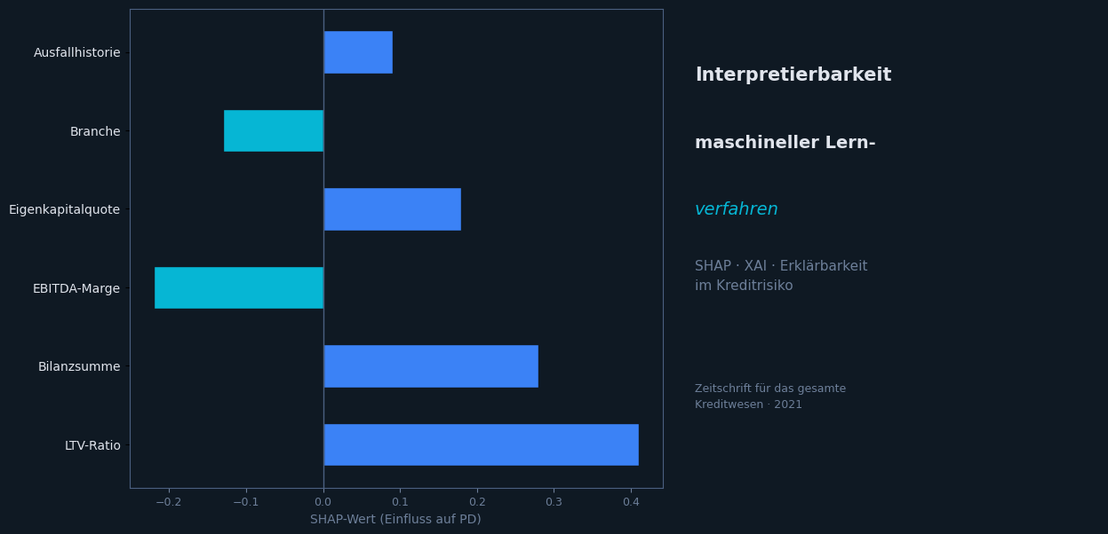 Interpretability of Machine Learning Methods in Credit Risk Measurement